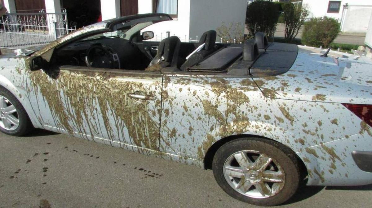 The Saturday, April 8, 2017, photo provided by the police in Dachau shows a convertible that was hit by a flush of liquid manure in Altomuenster, near Munich, southern Germany.