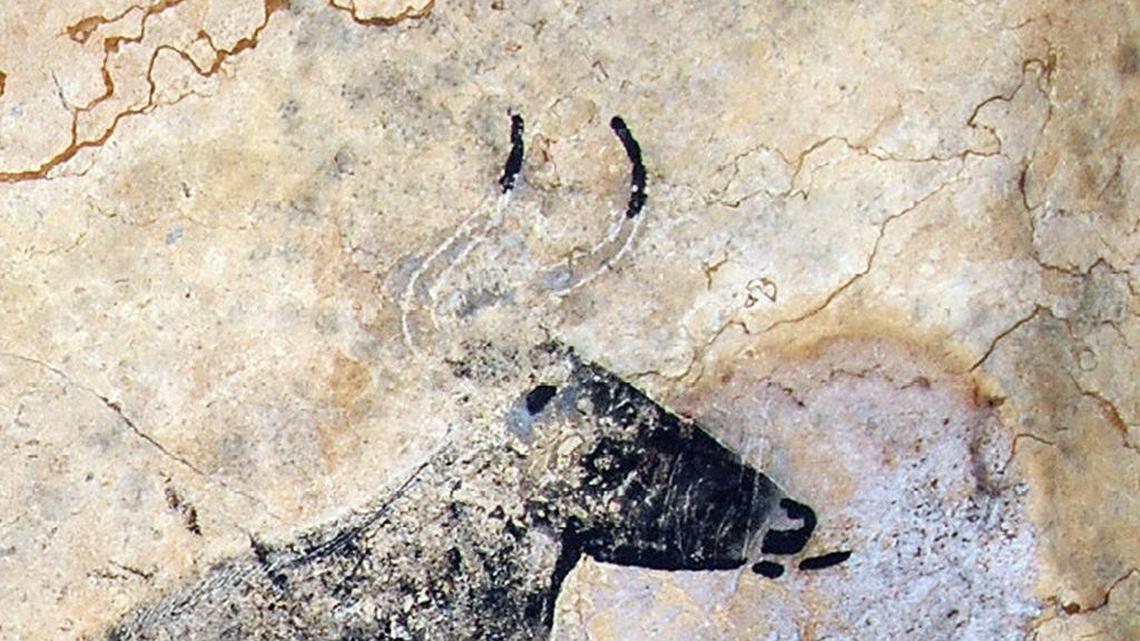 The Taurus Program, a partnership of ecologists, geneticists, historians and cattle breeders backed by Stichting Taurus, a Dutch nonprofit, is seeking to re-create the aurochs – depicted in prehistoric cave paintings in Lascaux, France – by crossbreeding modern cattle in a process known as back breeding.