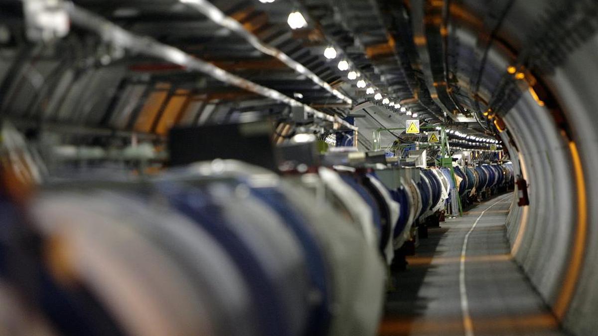 The Large Hadron Collider is one of the physics world's most complex machines, and it has been immobilized — temporarily — by a weasel.
