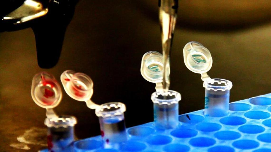 Many scientists seem to be fighting back against certain actions by the Trump Administration.