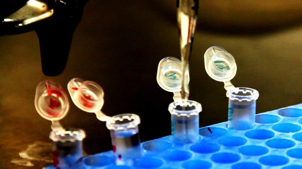 Many scientists seem to be fighting back against certain actions by the Trump Administration.