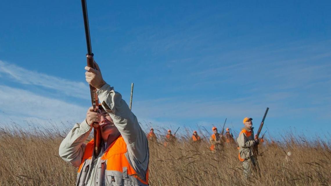 Sen. Ted Cruz, R-Texas, shoots at a pheasant during a 2013 hunt hosted by Rep. Steve King, R-Iowa.
