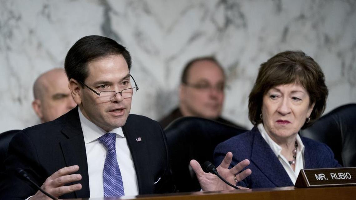Sen. Marco Rubio, R-Fla., speaks during a Senate Intelligence Committee hearing on election security on Capitol Hill in Washington, Wednesday, March 21, 2018.