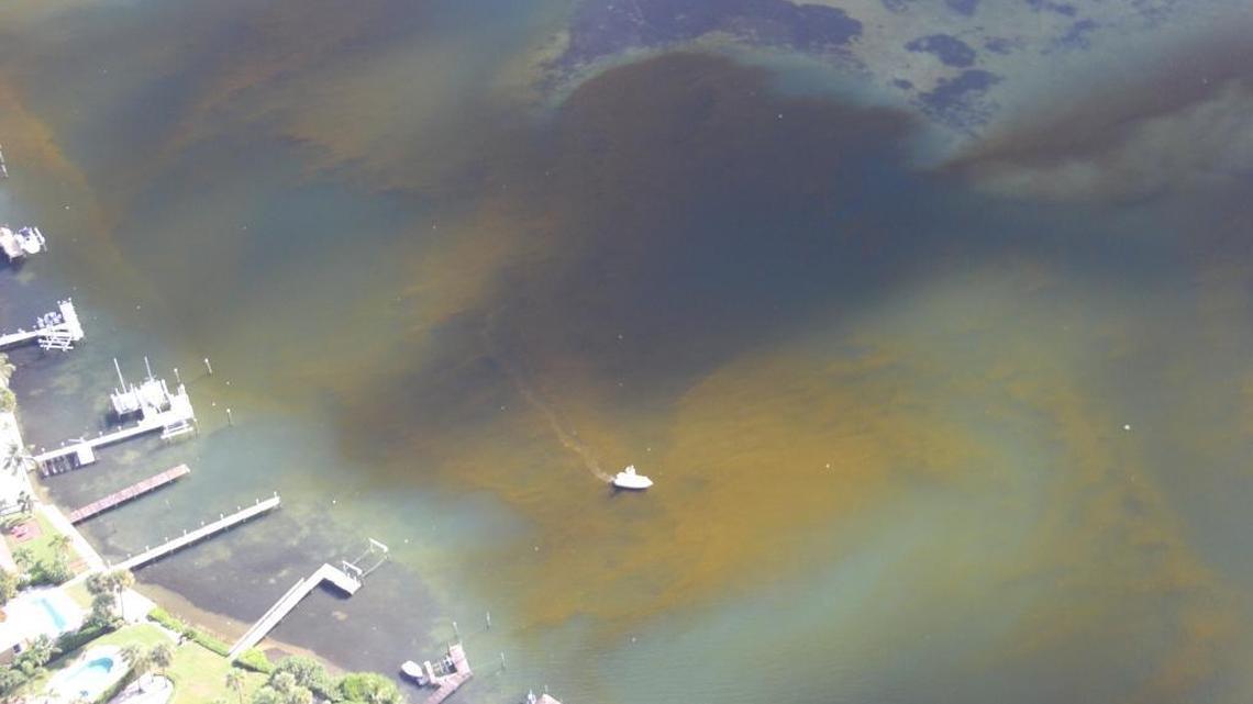 An aerial shot over Sarasota County coast on Sept. 30, 2016. A Mote Marine Laboratory researcher saw areas that are likely concentrated groups of red tide.