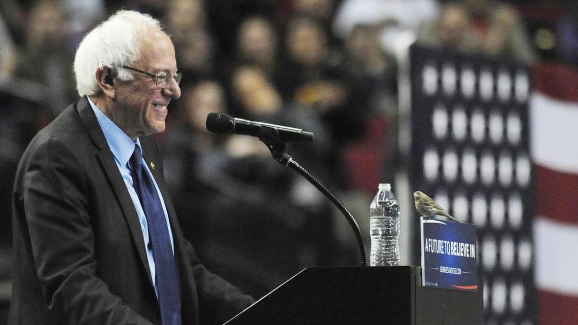 Democratic presidential candidate Sen. Bernie Sanders, I-Vt., smiles as a bird lands on his podium while he was speaking to a rally at the Moda Center in Portland, Ore., March 25, 2016.