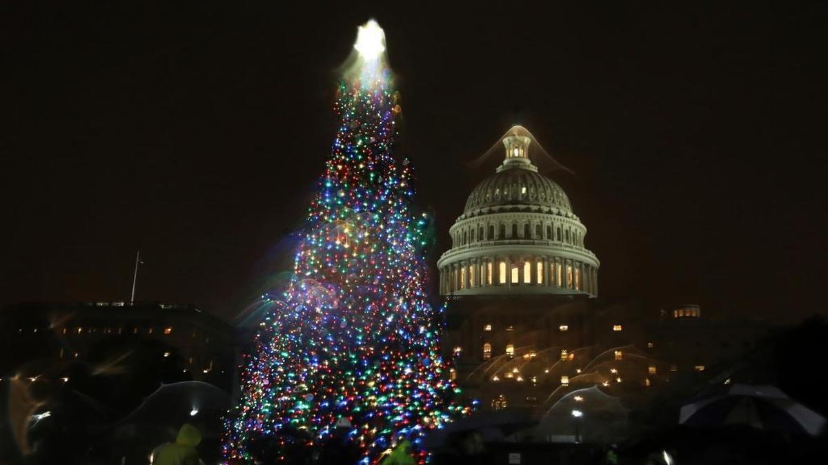 The U.S. Capitol Christmas Tree is lit up during a ceremony on the West Front of the Capitol in Washington, Tuesday, Dec. 6, 2016. The Capitol Christmas Tree is an 80-foot Engelmann Spruce from the Payette National Forest in Idaho.
