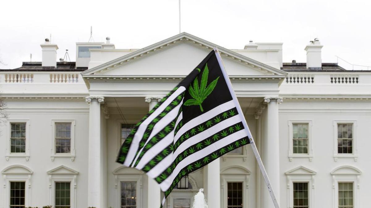 A demonstrator waves a flag with marijuana leaves on it during a protest calling for the legalization of marijuana outside of the White House, in Washington, Saturday, April 2, 2016. During the rally protesters demanded President Obama use his authority to stop marijuana arrests and pardon offenders.