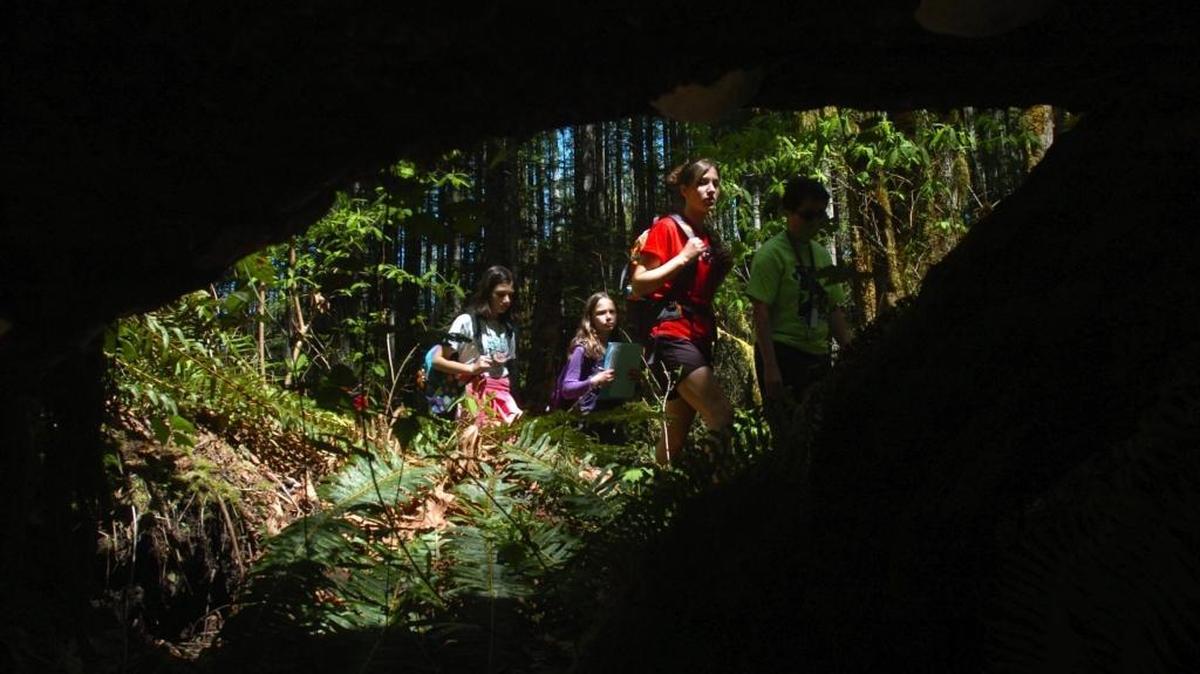 Camp Cispus counselor Chelsey Parvinen leads a group of fifth-grade students through the Gifford Pinchot National Forest during a nature hike in the fall of 2008. Budget cuts to the U.S. Forest Service has raised concerns about the impact on recreation and tourism.
