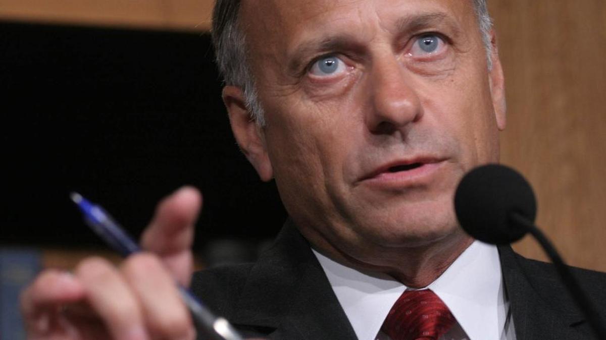 Rep. Steve King, R-Iowa, speaks to reporters on Capitol Hill in Washington.