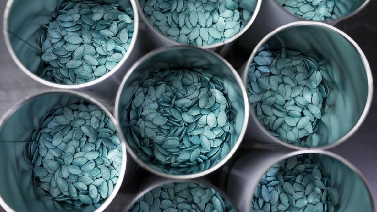 Hybrid squash seeds in unsealed tins at the Seminis processing plant, the vegetable seeds division of Monsanto Co., in Enkhuizen, Netherlands. Bayer intends to take over Monsanto in a $66 billion deal that would create a mega-firm controlling about a quarter of the global market for seeds and pesticides.