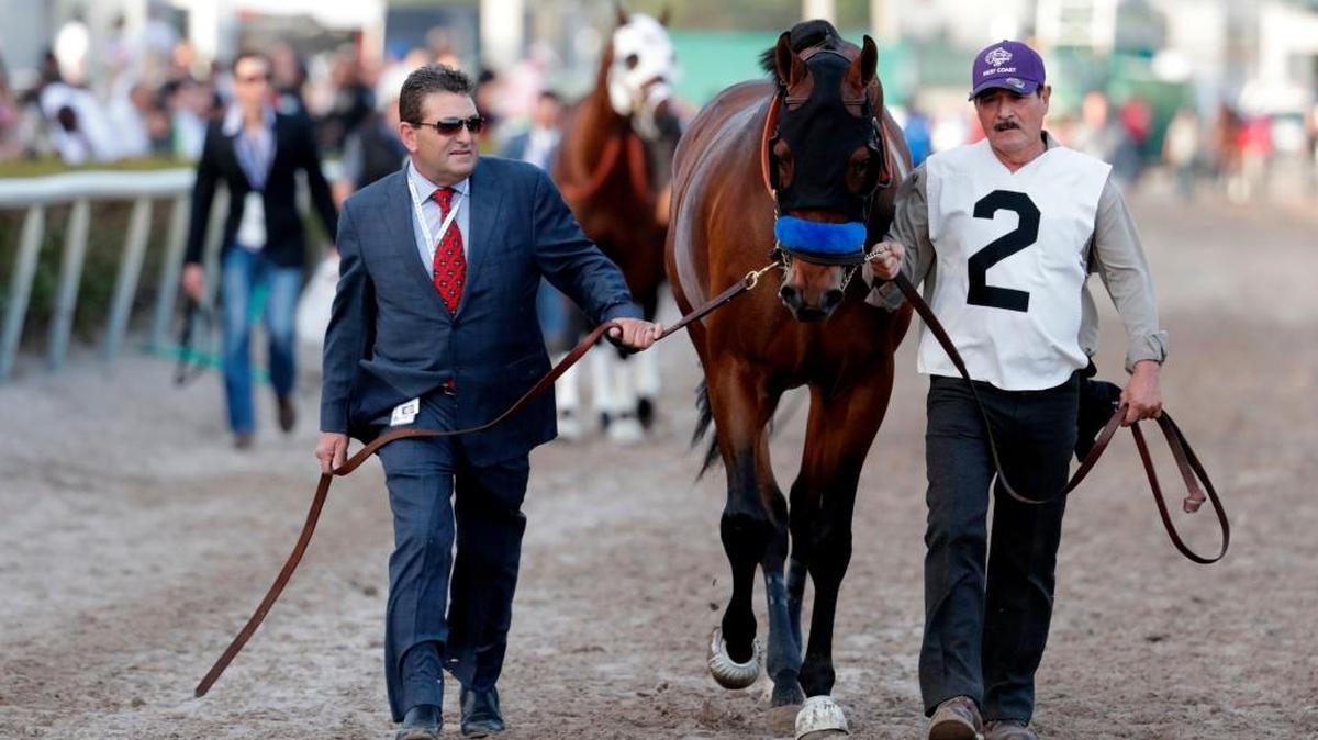 West Coast is led onto the track for the 12th race at the Pegasus World Cup Invitational horse race, at Gulfstream Park in Hallandale Beach, Fla.