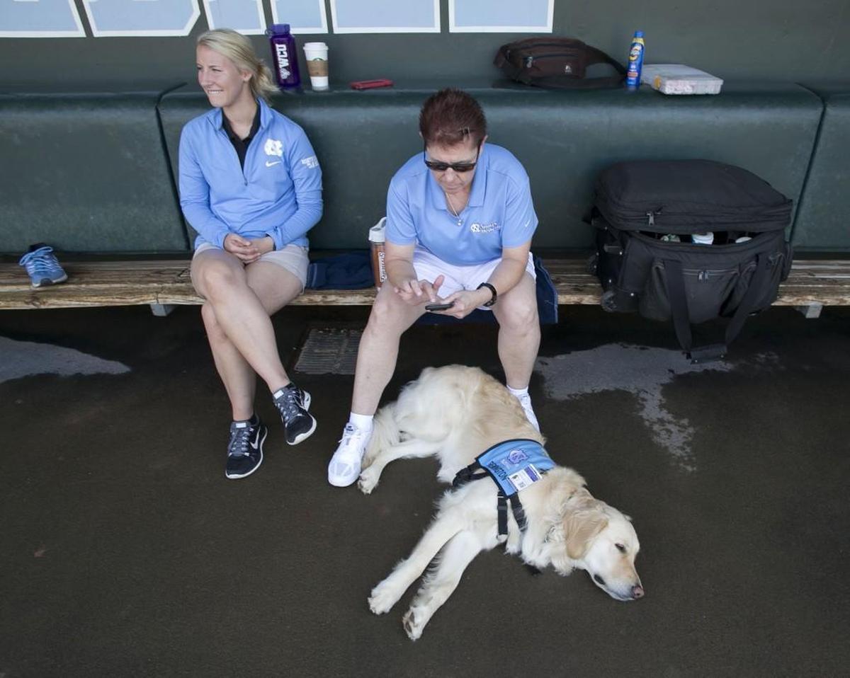 Terri Jo Rucinski, right, coordinator for UNC’s campus health physical therapy department and trainer for the UNC baseball team, sits with REMINGTON, a golden retriever service dog that joined the staff. REMINGTON, who works as a psychiatric medical alert facility rehabilitation service dog, and Rucinski were at the Tar Heels’ baseball practice on Friday.