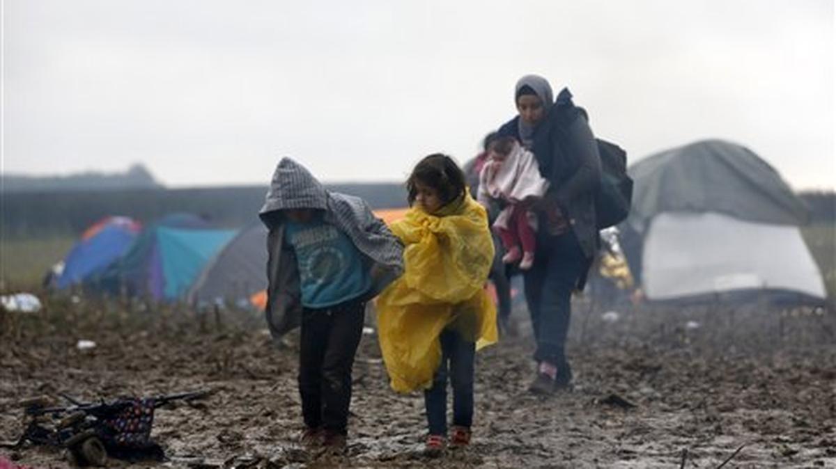 Migrantes caminan por un campo cerca de la línea fronteriza entre Serbia y Croacia, cerca del pueblo de Berkasovo, Serbia, el martes 20 de octubre de 2015.